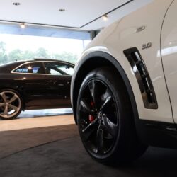 IMG_0999 IMG_0999
