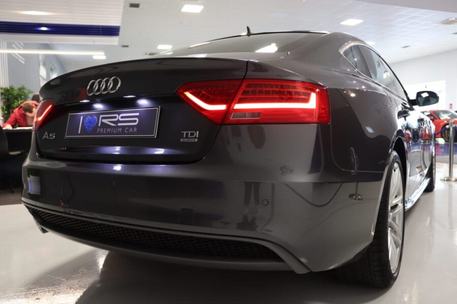 IMG_1210-1 IMG_1210-1