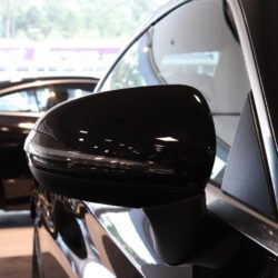 IMG_2595 IMG_2595