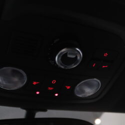 IMG_4195 IMG_4195