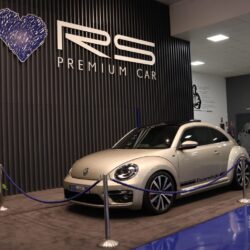 IMG_4220 IMG_4220