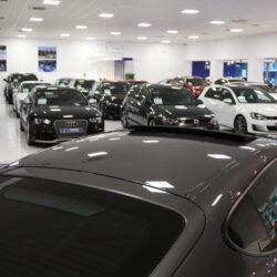 IMG_7444 IMG_7444