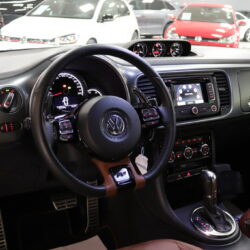 IMG_8262_Easy-Resize.com_