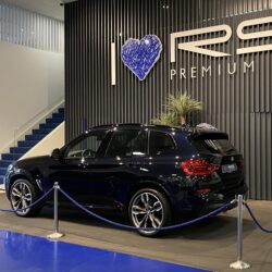 IMG_E3021-scaled-1 IMG_E3021-scaled-1