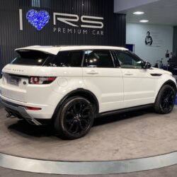 IMG_E6033_Easy-Resize.com_ IMG_E6033_Easy-Resize.com_